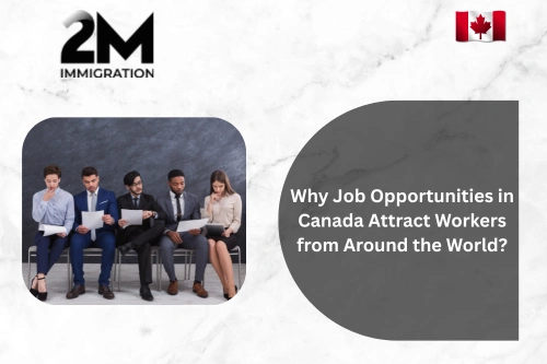 Why Job Opportunities in Canada Attract Workers from Around the World?